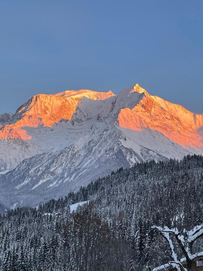 דירות סן-ג'רבה-לה-באן Vue Splendide Mont Blanc מראה חיצוני תמונה